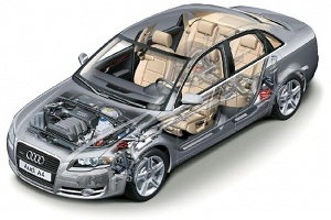 �������� ��� �������� � �����